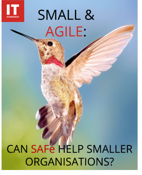SAFe for smaller companies