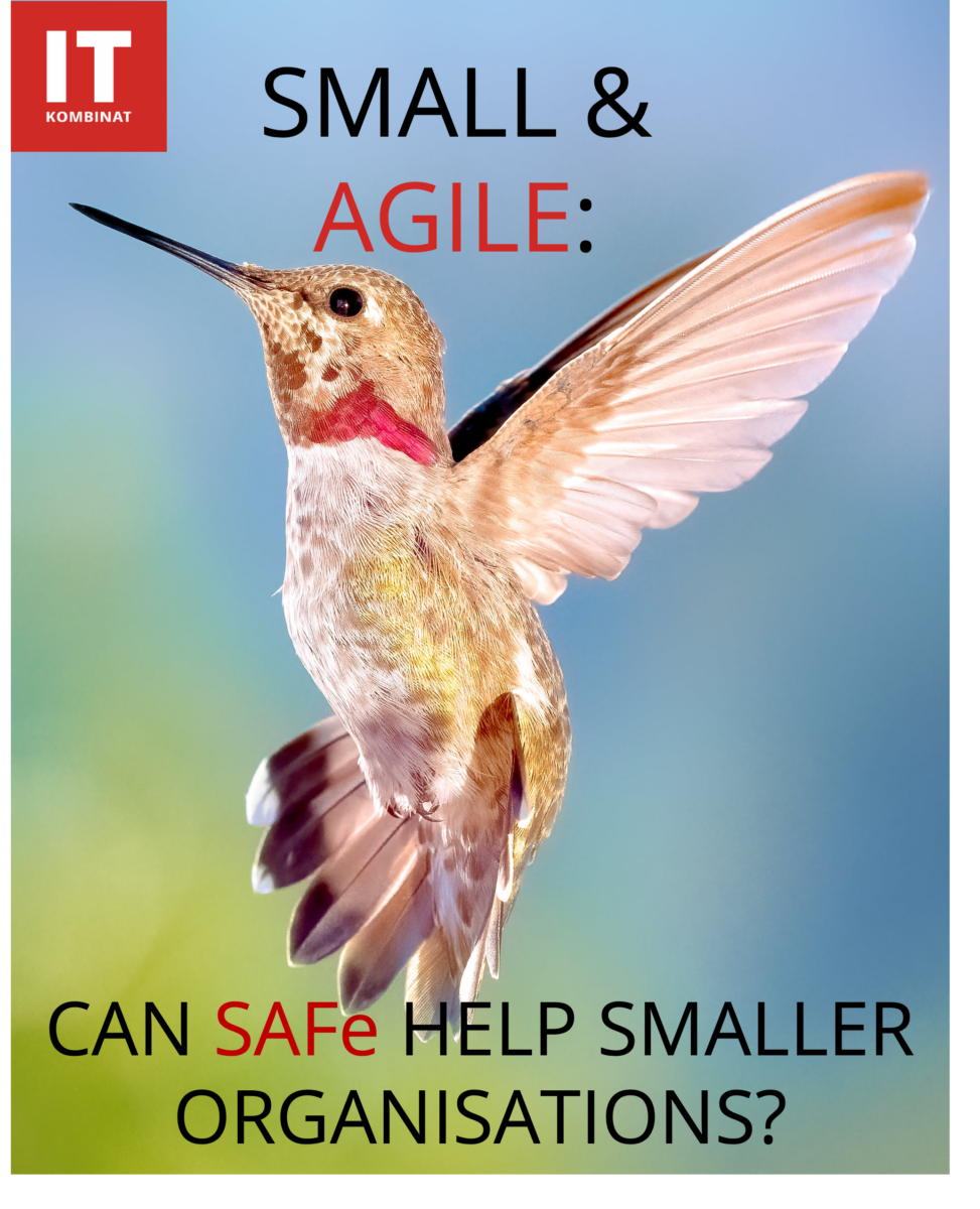 SAFe for smaller companies